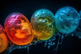 Innovative Treatments for Fibromyalgia